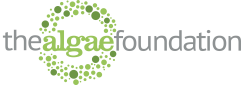 Logo with green circular dots and text 'raefound'.