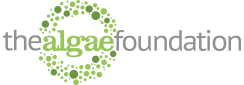 Logo with green circular dots and text 'raefound'.